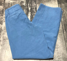 Load image into Gallery viewer, Wilfred Free blue high rise pants - Hers size 00
